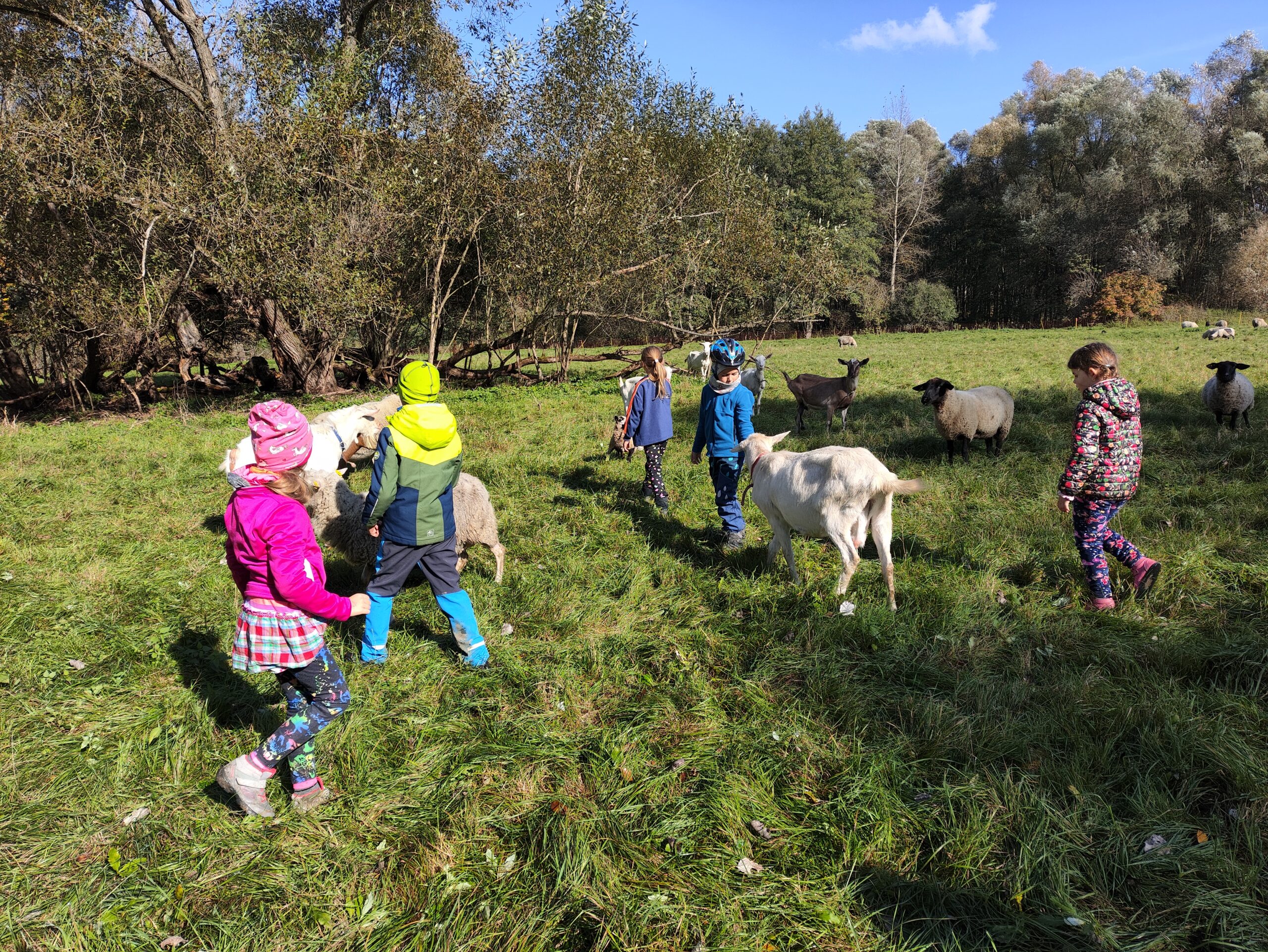 IMG_20241016_114957-scaled