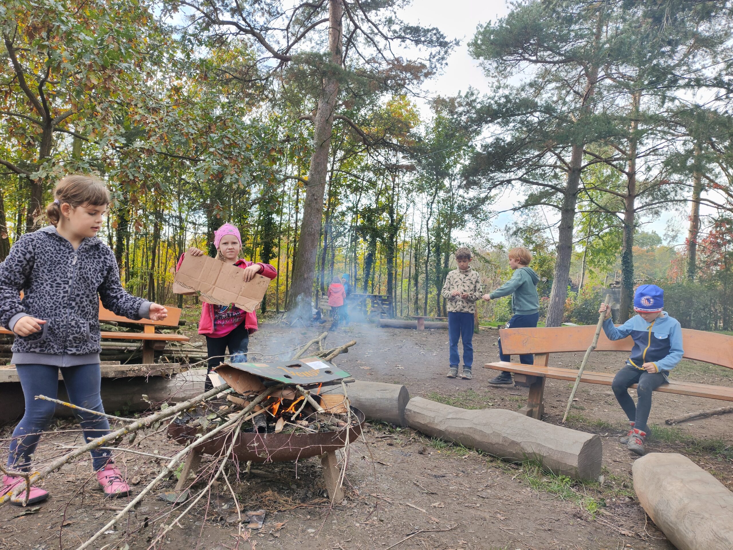 IMG_20241025_141514-scaled