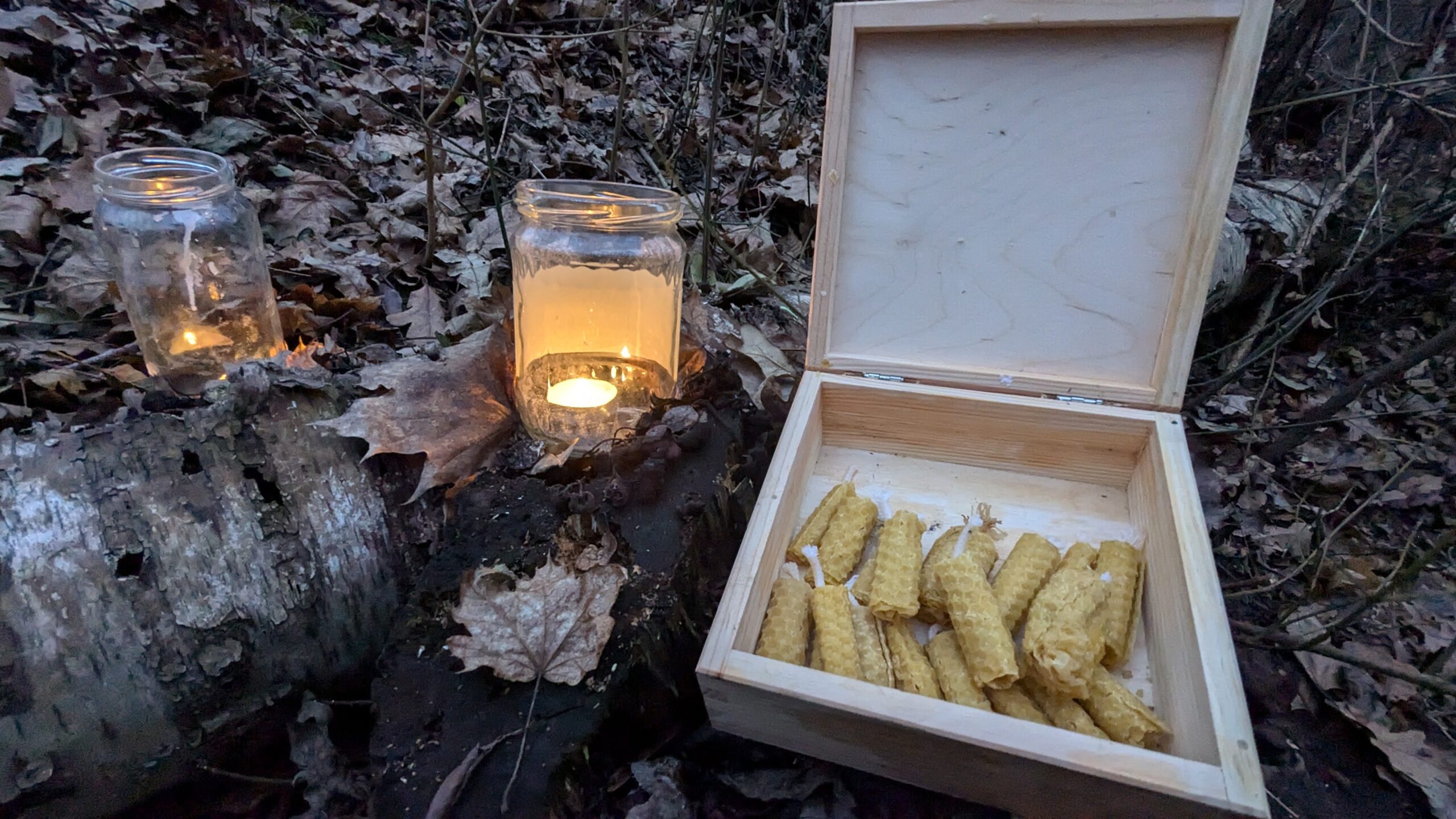 PXL_20241217_150034812-scaled